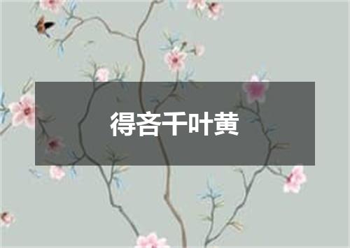 得吝千叶黄