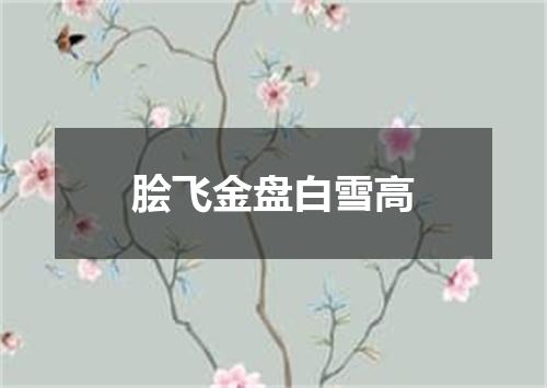 脍飞金盘白雪高