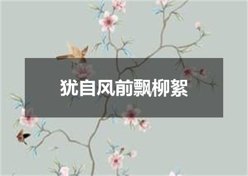 犹自风前飘柳絮