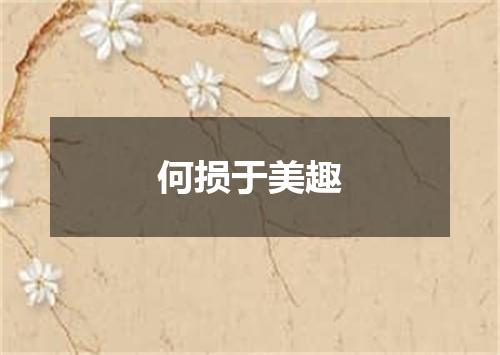 何损于美趣