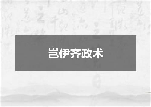岂伊齐政术