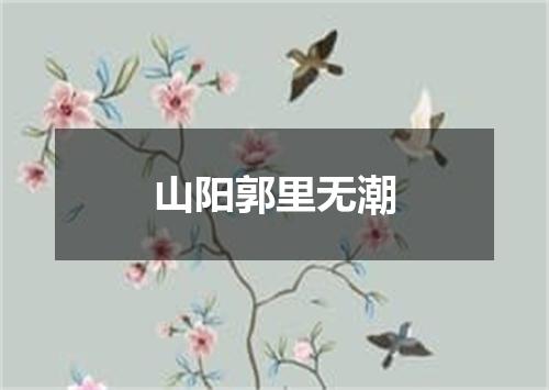 山阳郭里无潮