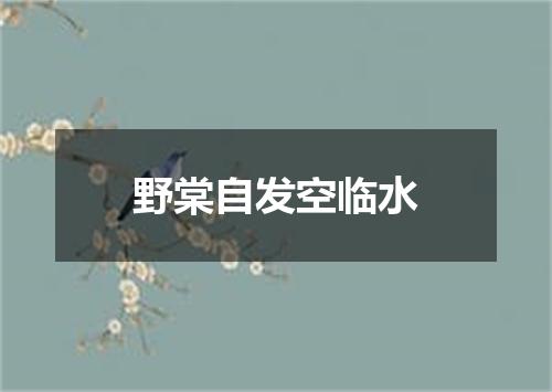 野棠自发空临水