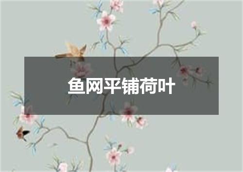 鱼网平铺荷叶