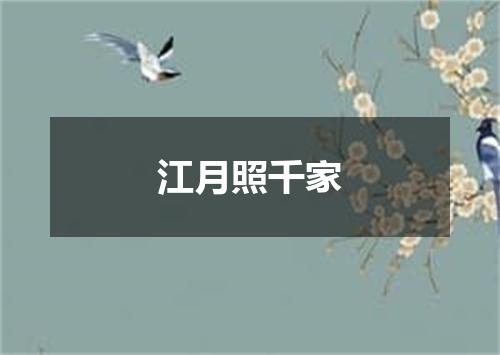 江月照千家