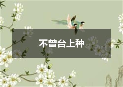 不曾台上种