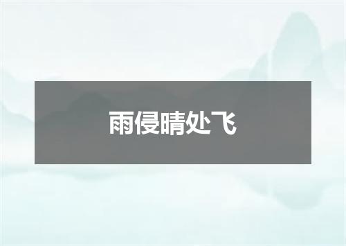 雨侵晴处飞