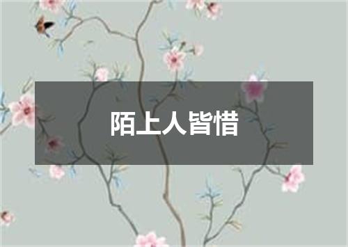 陌上人皆惜