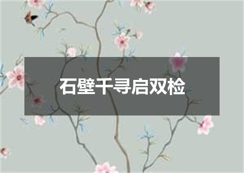 石壁千寻启双检
