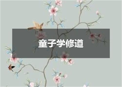 童子学修道