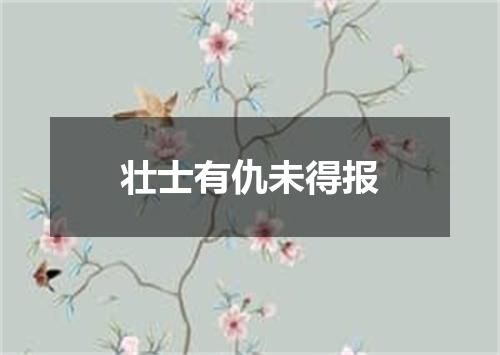 壮士有仇未得报