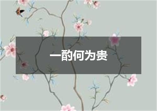 一酌何为贵