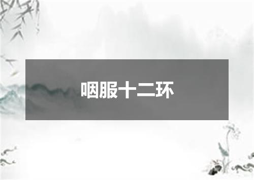 咽服十二环
