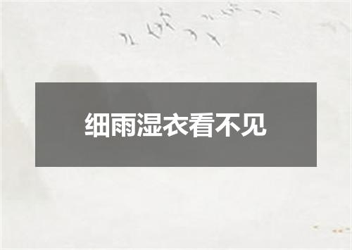 细雨湿衣看不见