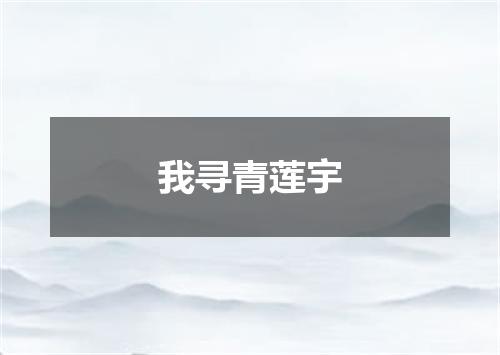 我寻青莲宇