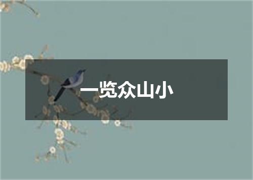 一览众山小