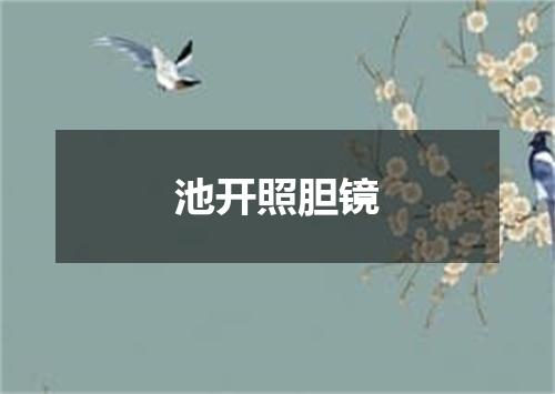 池开照胆镜