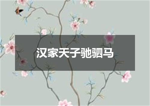 汉家天子驰驷马
