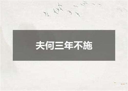 夫何三年不施