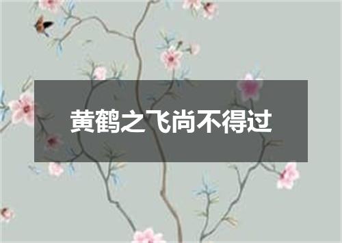 黄鹤之飞尚不得过