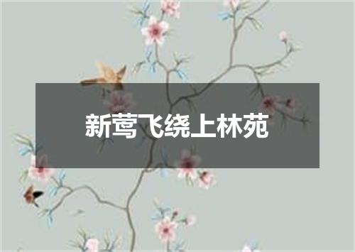 新莺飞绕上林苑