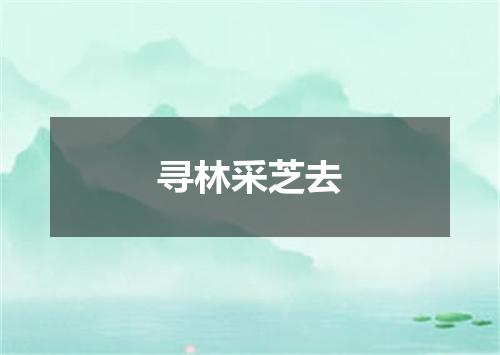 寻林采芝去