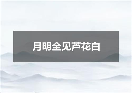 月明全见芦花白