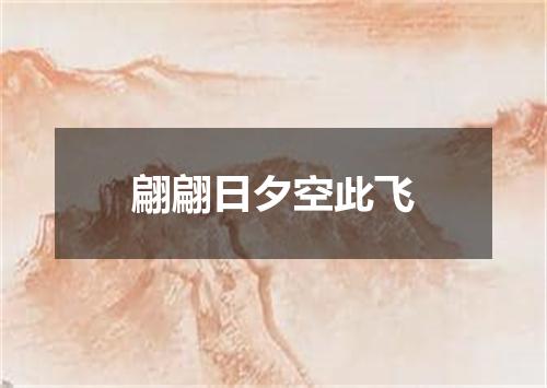 翩翩日夕空此飞