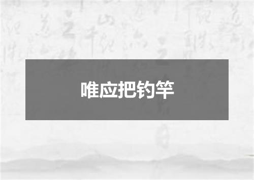 唯应把钓竿