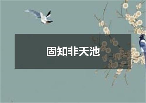 固知非天池