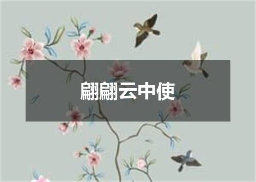 翩翩云中使