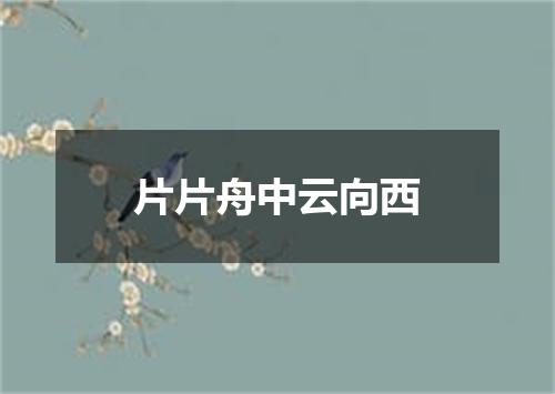 片片舟中云向西