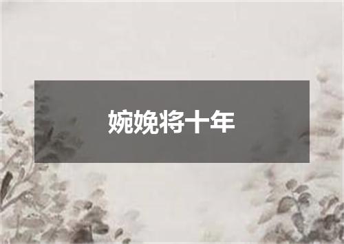 婉娩将十年