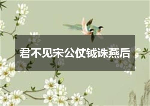 君不见宋公仗钺诛燕后