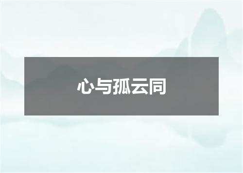 心与孤云同