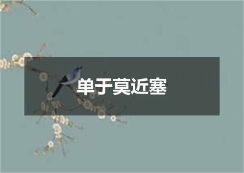 单于莫近塞