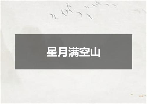 星月满空山