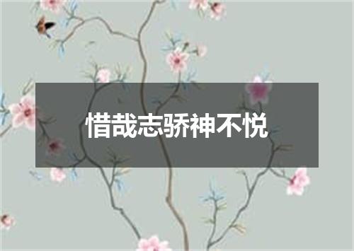 惜哉志骄神不悦