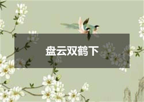 盘云双鹤下