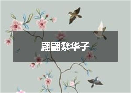 翩翩繁华子