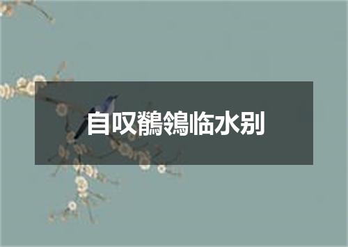 自叹鶺鴒临水别