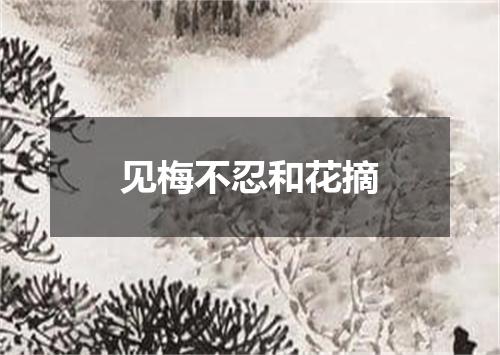 见梅不忍和花摘