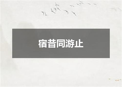 宿昔同游止