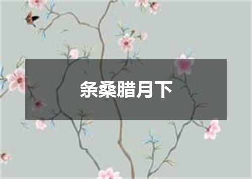 条桑腊月下