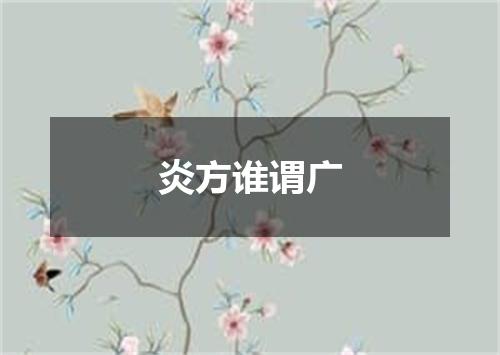 炎方谁谓广