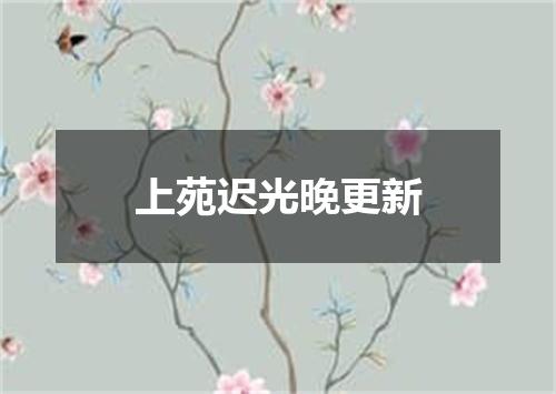 上苑迟光晚更新