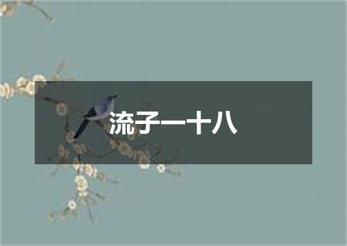 流子一十八