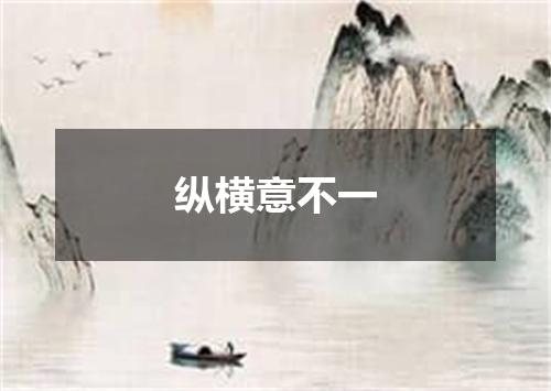 纵横意不一