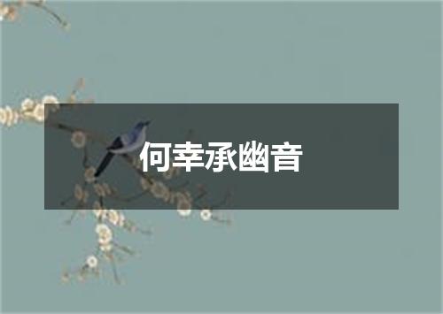 何幸承幽音