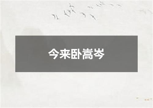 今来卧嵩岑